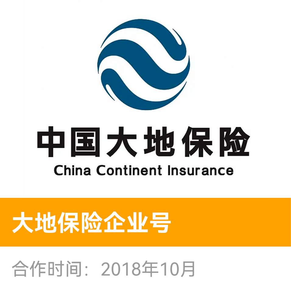 中国大地保险