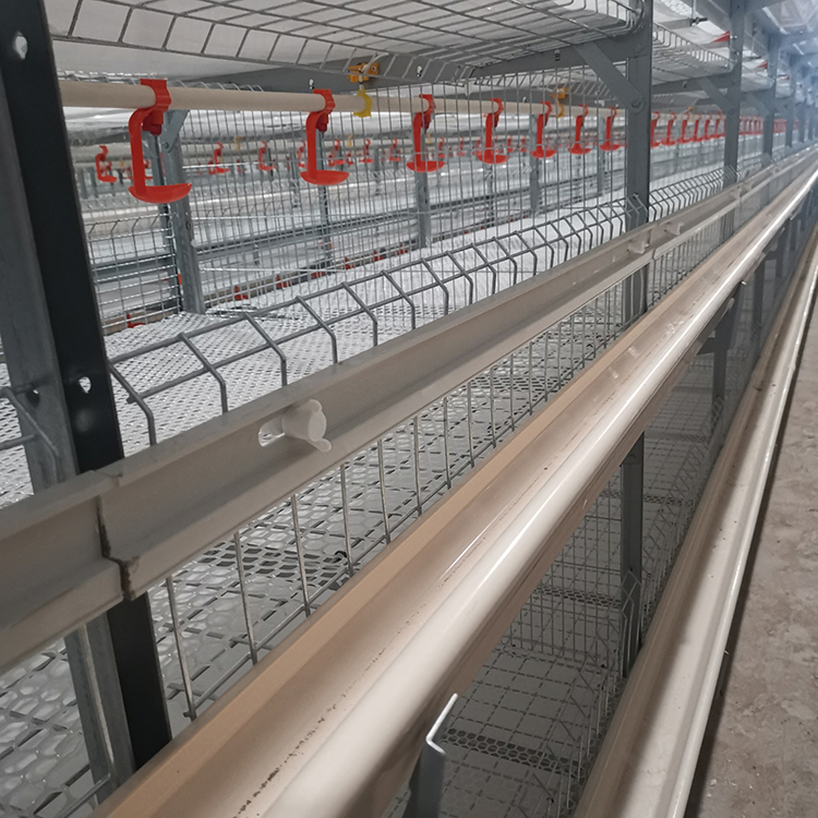 全自动养鸡饮水器