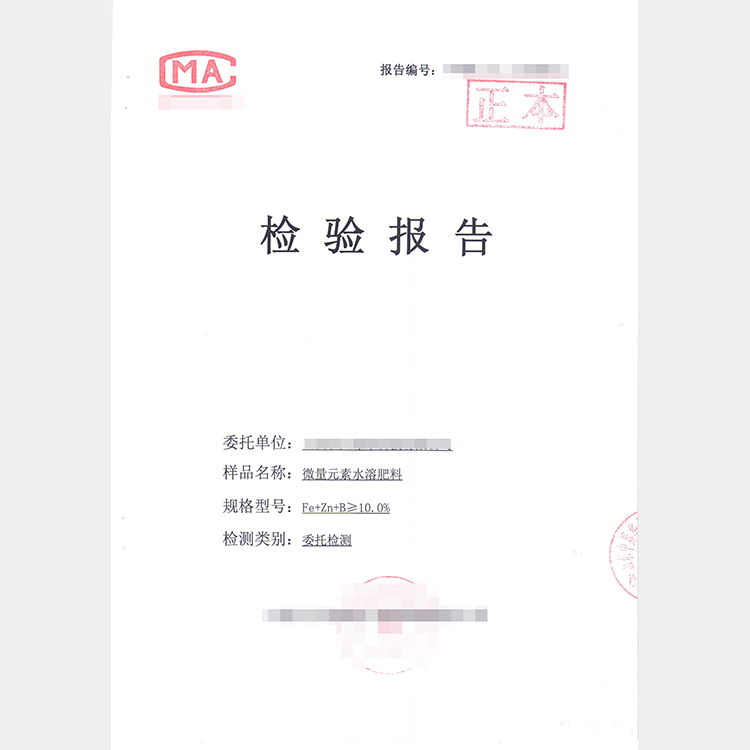 山东中昇报告